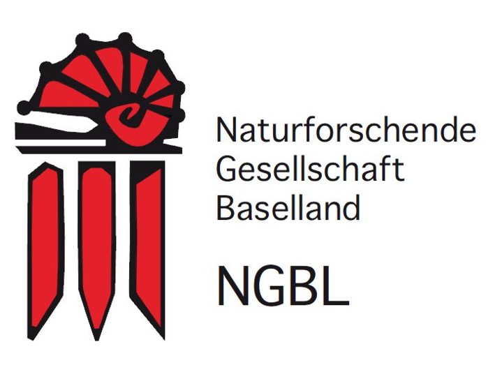 NGBL Logo
